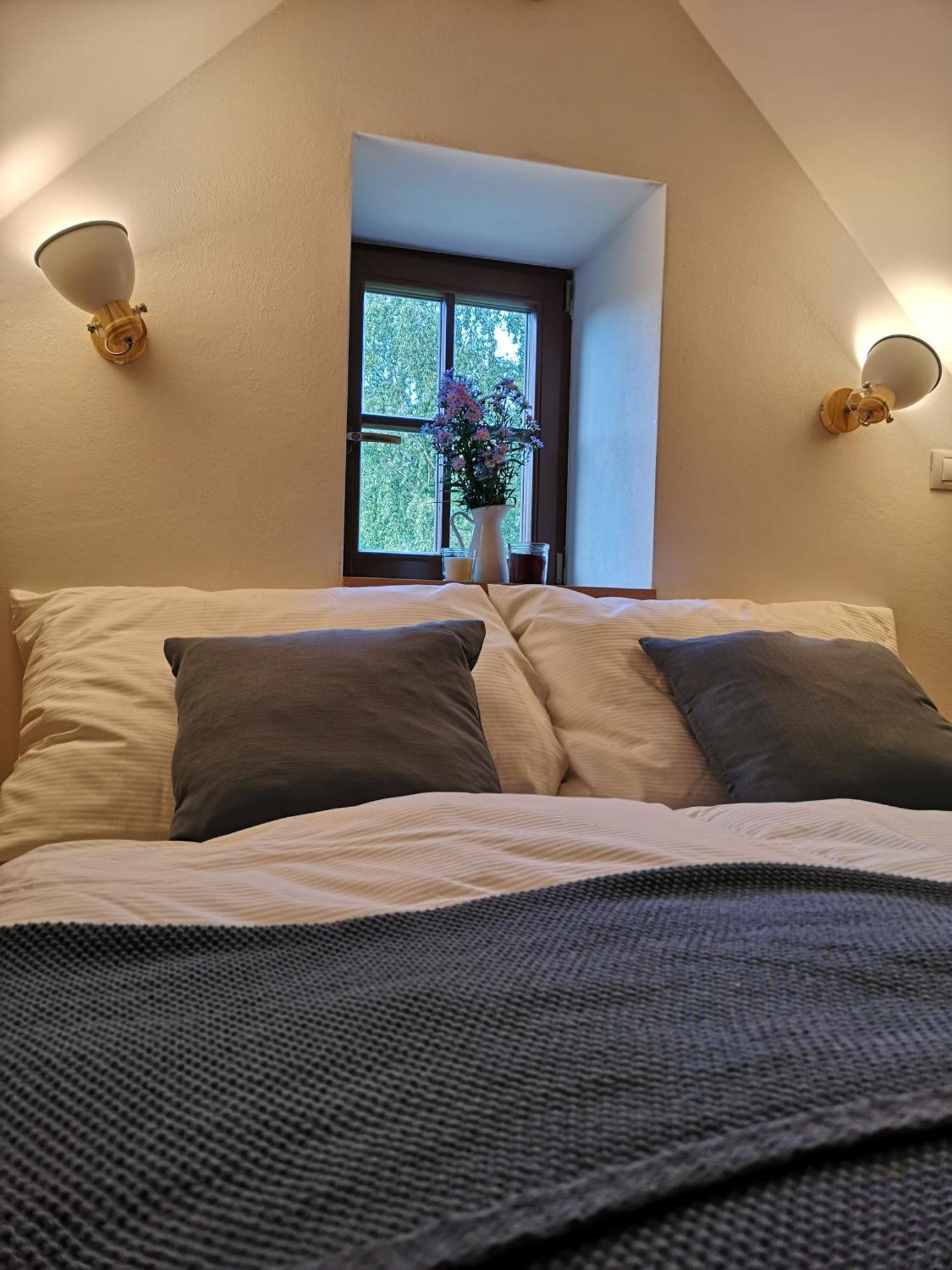 Na Jeleni Stezce Villa Chribska Luaran gambar